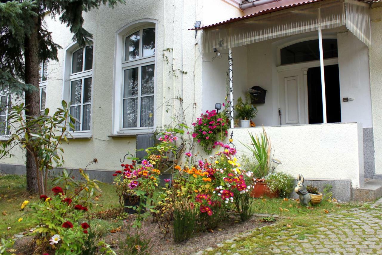 Ferienwohnung "Zur Alten Schule" Neuburxdorf Exteriör bild